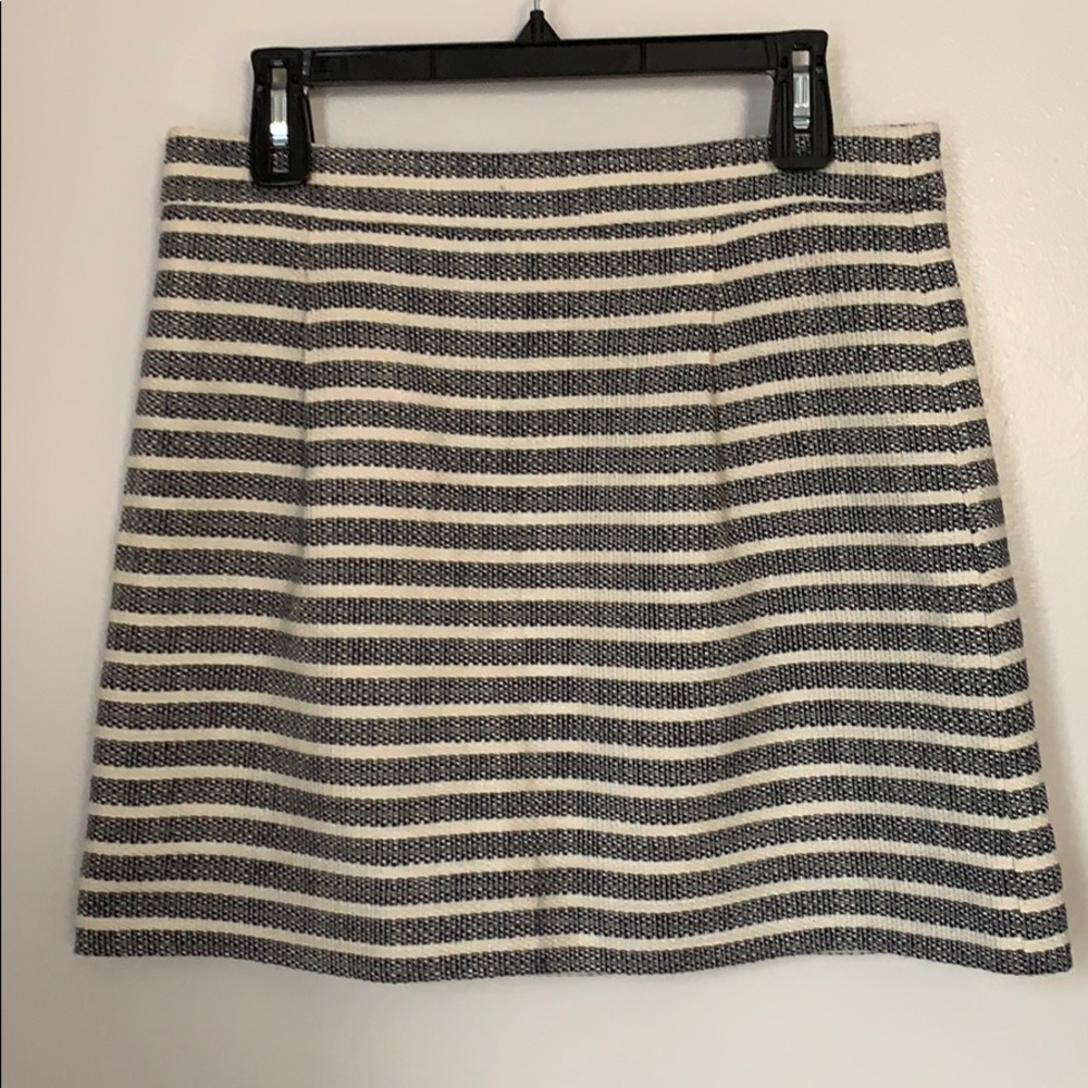 J.Crew Skirt